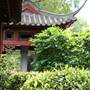 Chinese Garden of Friendship - Darling Harbour