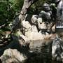 Chinese Garden of Friendship - Darling Harbour