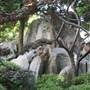 Chinese Garden of Friendship - Darling Harbour