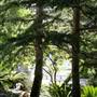 Chinese Garden of Friendship - Darling Harbour