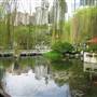Chinese Garden of Friendship - Darling Harbour