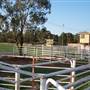 Coonabarabran Showground