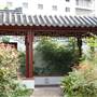 Chinese Garden of Friendship - Darling Harbour
