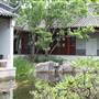 Chinese Garden of Friendship - Darling Harbour