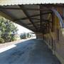 Cootamundra