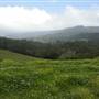 Jamberoo Farm