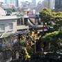 Darlinghurst - Forbes St, Thomson Lane, St Peters Lane