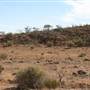 Day Dream Mine