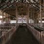 Deeargee Woolshed