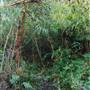 Deep Creek Reserve
