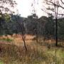 Deep Creek Reserve