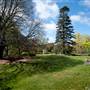 Lady Fairfax Gardens