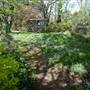 Lady Fairfax Gardens