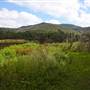 Lake Yarrunga