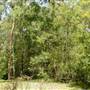 Lane Cove National Park