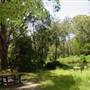Lane Cove National Park