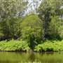 Lane Cove National Park