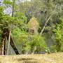 Lane Cove National Park
