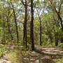 Lane Cove National Park