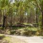 Lane Cove National Park