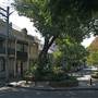 East Sydney