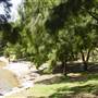 Manly Dam & Reservoir