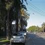 Marrickville - Carrington Road