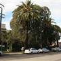 Marrickville - Carrington Road