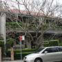 Edgecliff