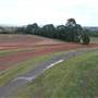 Menangle Park Paceway