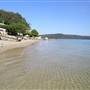 Barrenjoey Beach, Palm Beach