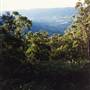 Barrington Tops National Park