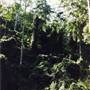 Barrington Tops National Park