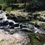 Barrington Tops National Park