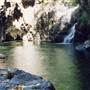 Barrington Tops National Park