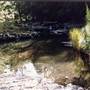 Barrington Tops National Park