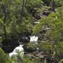 Barrington Tops National Park