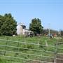 Berry Area Farms