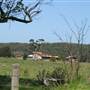 Berry Area Farms