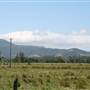 Berry Area Farms