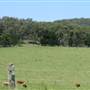 Berry Area Farms