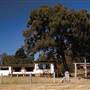 Big Yango House - Yengo National Park