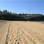 Bilgola Beach