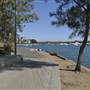 Blackwattle Bay Park