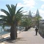 Luna Park