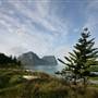 Lord Howe Island