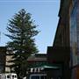 Bondi Beach Public School  - Sunday Markets