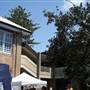 Bondi Beach Public School  - Sunday Markets