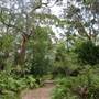 Bonnie Vale Campground - Royal National Park