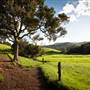 Jamberoo